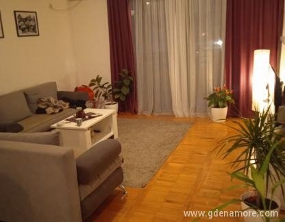 Apartment Lajla, private accommodation in city Bar, Montenegro - 889CBEB5-76AC-40D4-A6B6-9153E60F0166